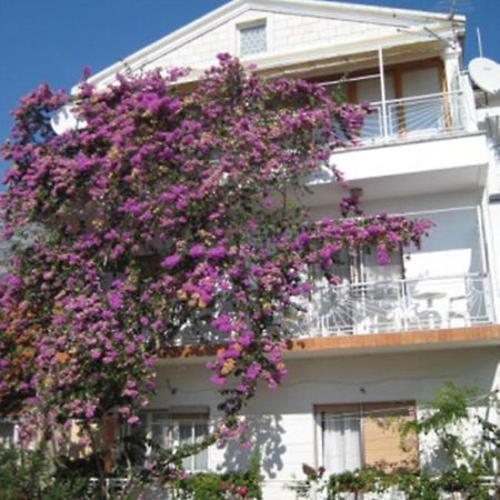 Apartman Graciela Perfect Location Gradac Gradac  Εξωτερικό φωτογραφία