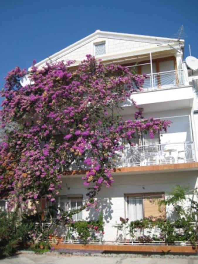 Apartman Graciela Perfect Location Gradac Gradac  Εξωτερικό φωτογραφία