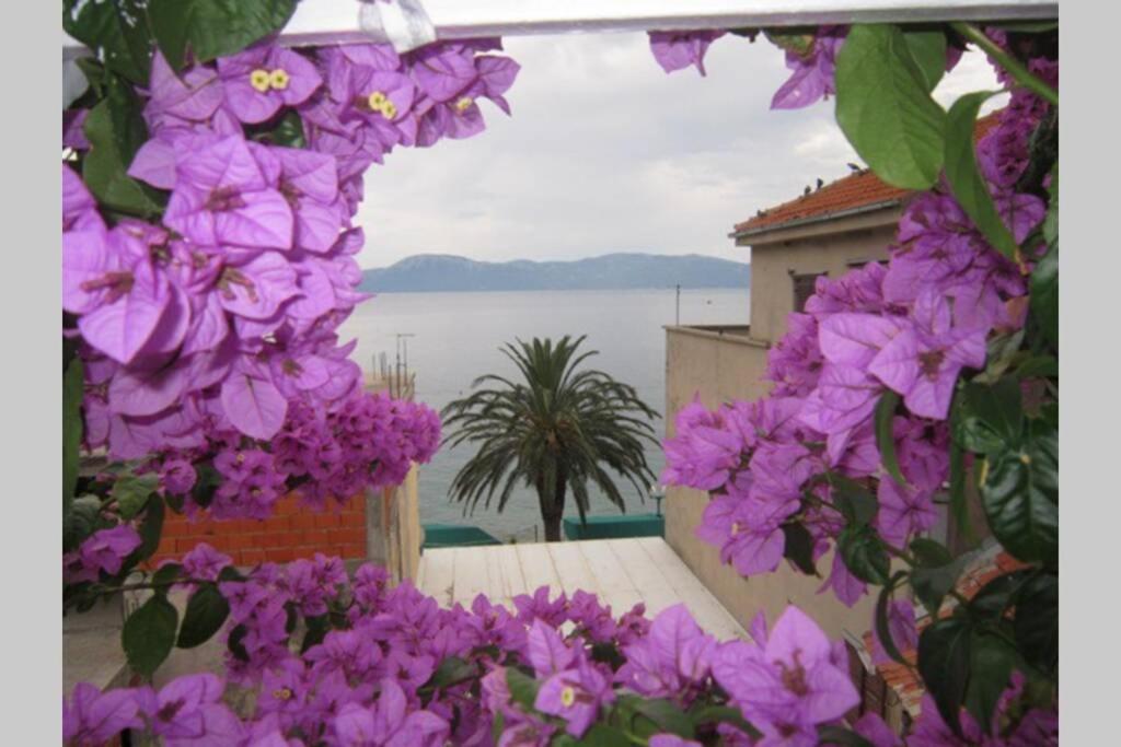Apartman Graciela Perfect Location Gradac Gradac  Εξωτερικό φωτογραφία