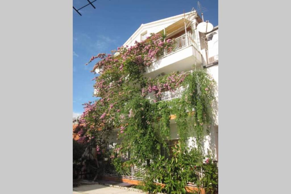 Apartman Graciela Perfect Location Gradac Gradac  Εξωτερικό φωτογραφία