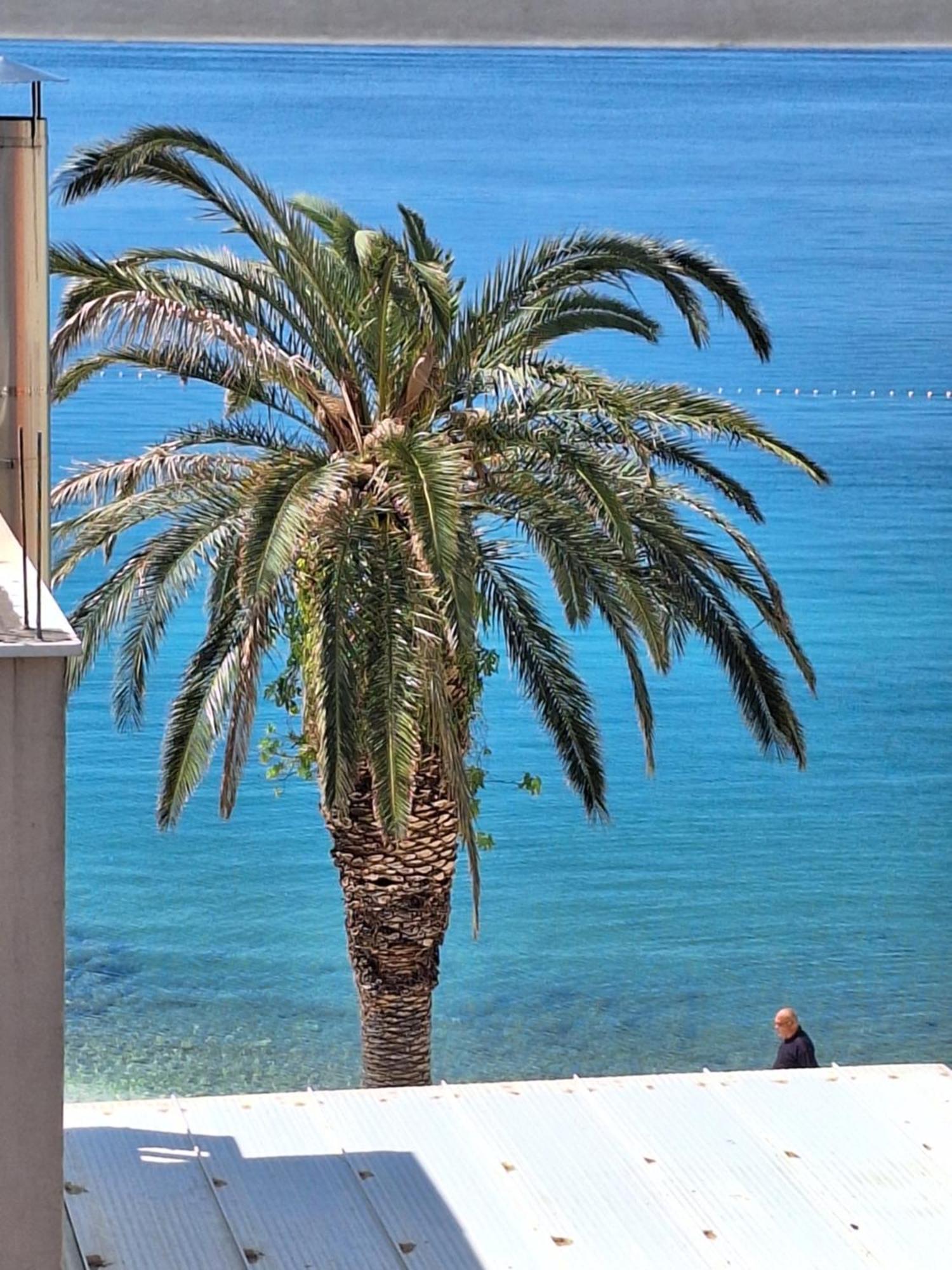 Apartman Graciela Perfect Location Gradac Gradac  Εξωτερικό φωτογραφία